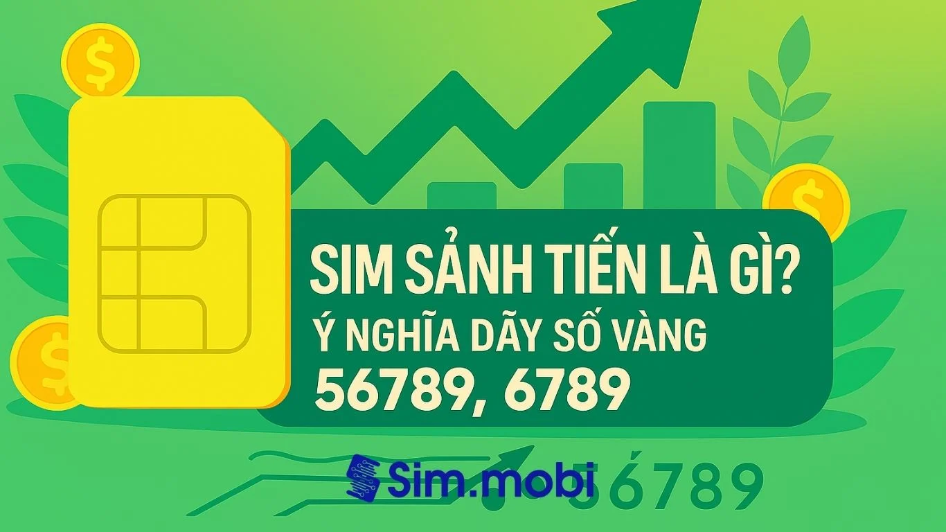 Sim sảnh tiến là gì? Ý nghĩa ra sao?