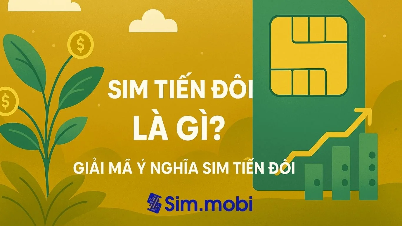 Sim tiến đôi là gì? Ý nghĩa ra sao?